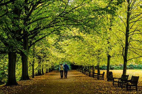 Couple walking on a wooded path