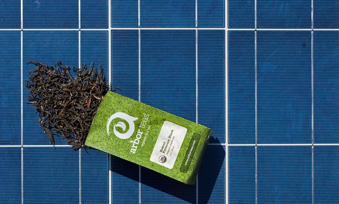 Bag of Tea on a Solar Panel