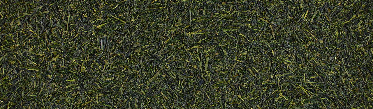 Organic Green Tea Samplers