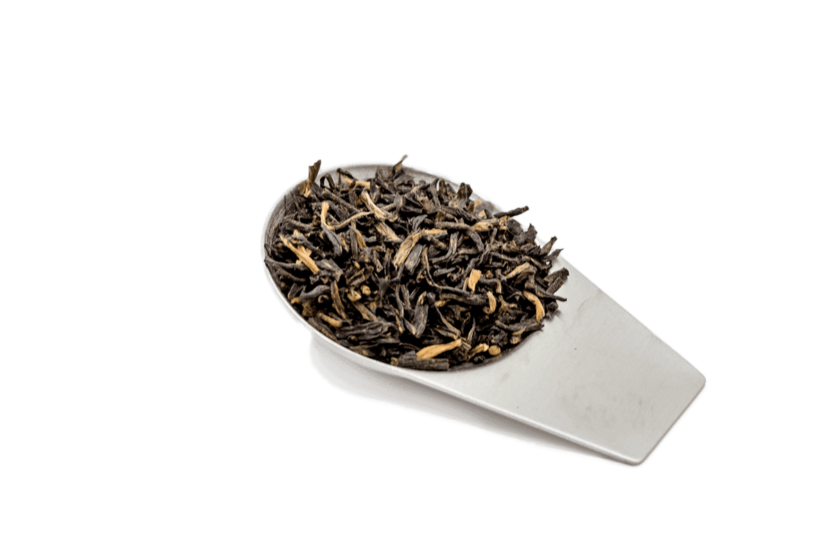 Tea leaves on a metal scoop