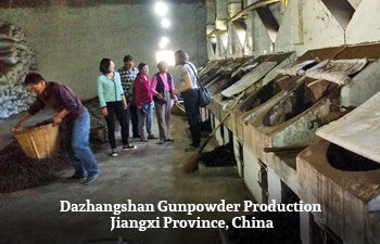 People observing gunpowder green tea production in a tea factory in Dazhongshan, Jiangxi Province, China.