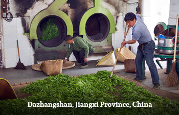 People working with green tea leaves in a tea factory at Dazhangshan, Jiangxi Province, China