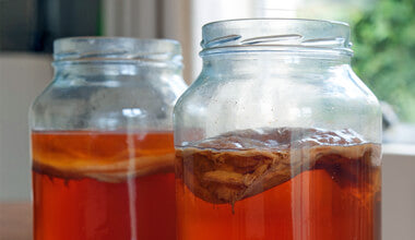 HOW TO MAKE KOMBUCHA