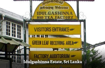 idulgashinna-estate-sri-lanka