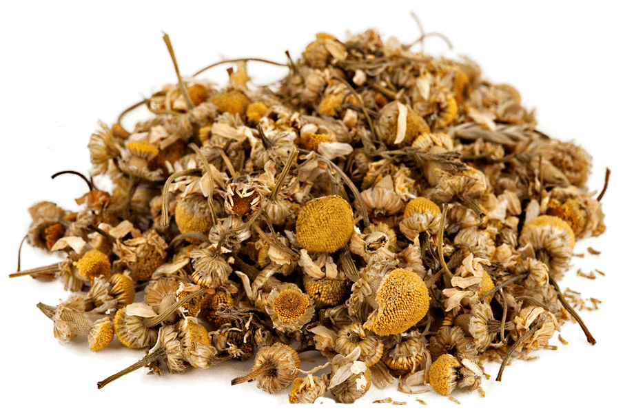 organic-chamomile