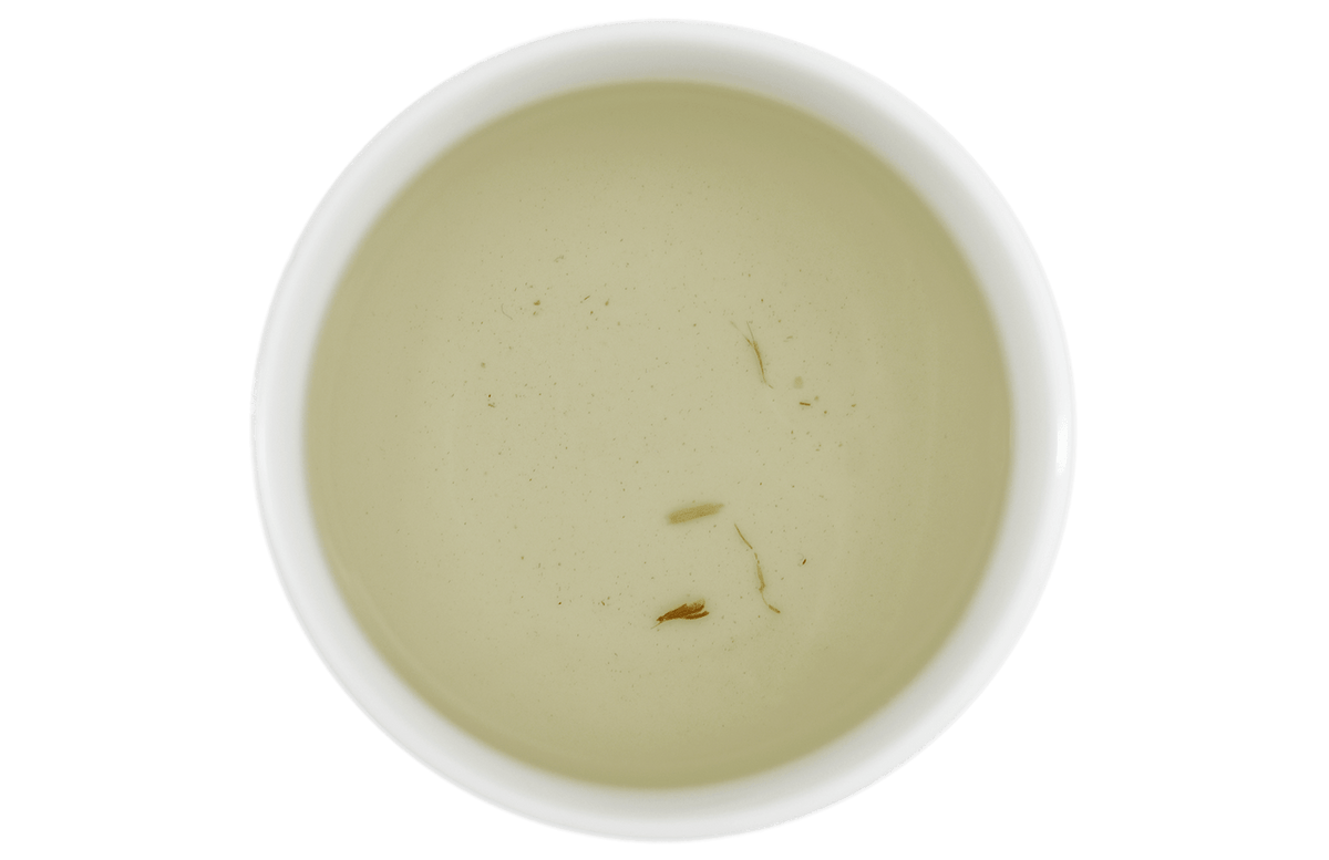 organic-echinacea-root-brew