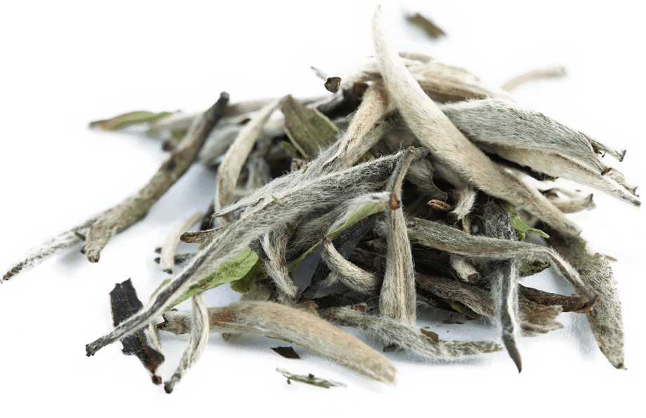 Organic Silver Needle White Tea