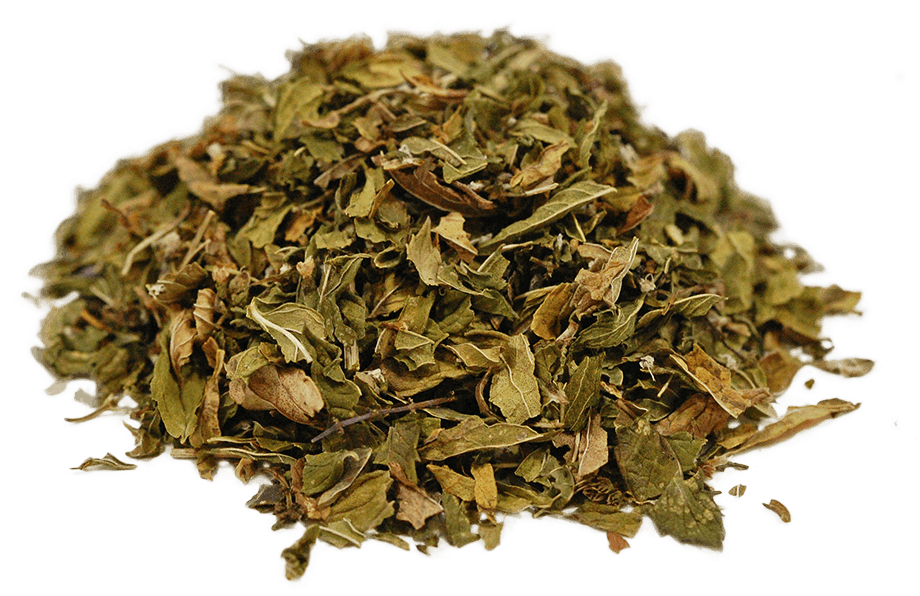 organic-spearmint