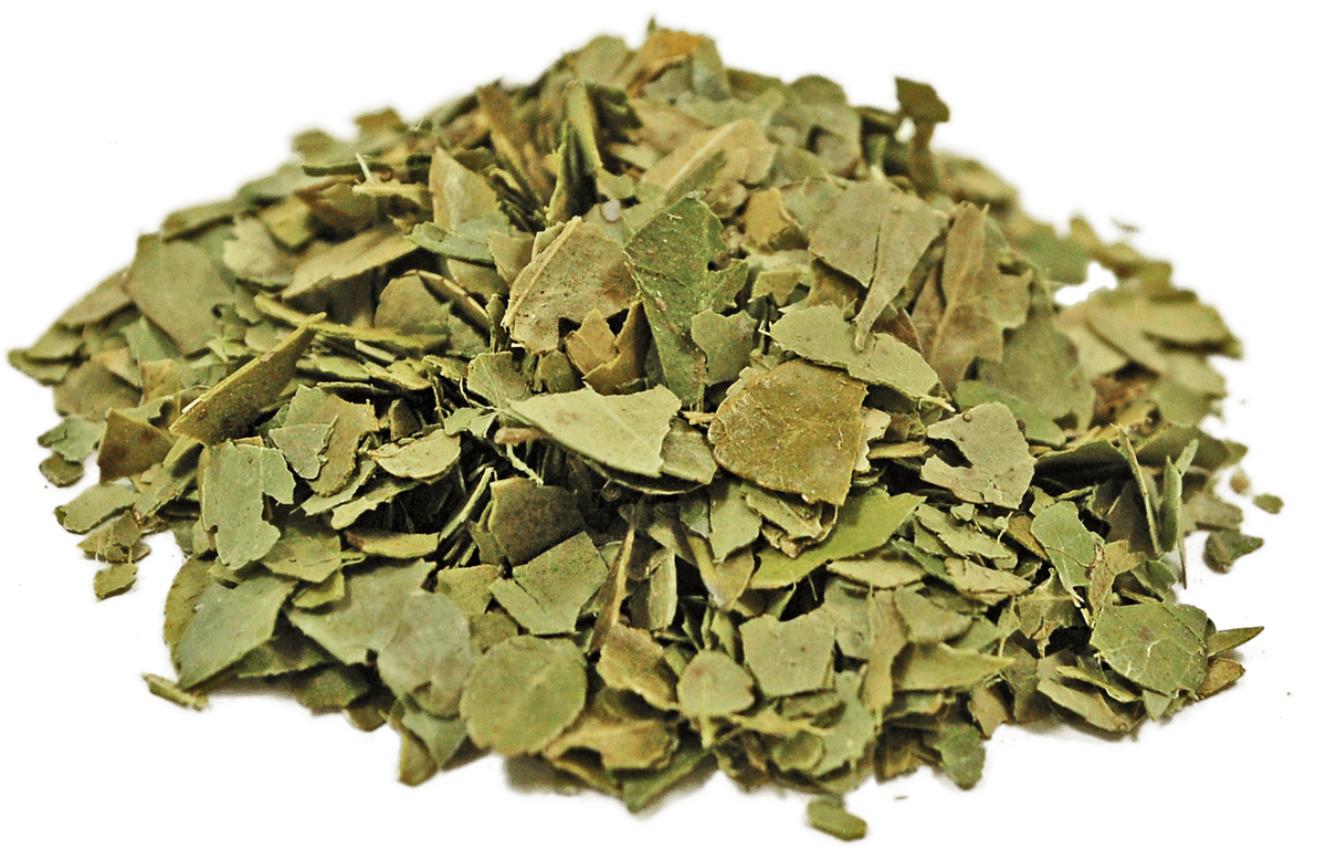 organic-yaupon
