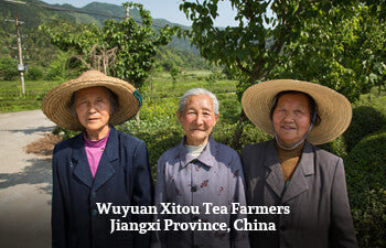 wuyuan-xitou-tea-farmer-jiangxi-province-china