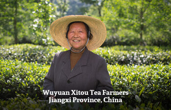 Woman in a tea garden at Wuyuan Xitou Tea Farmers in Jiangxi Province, China