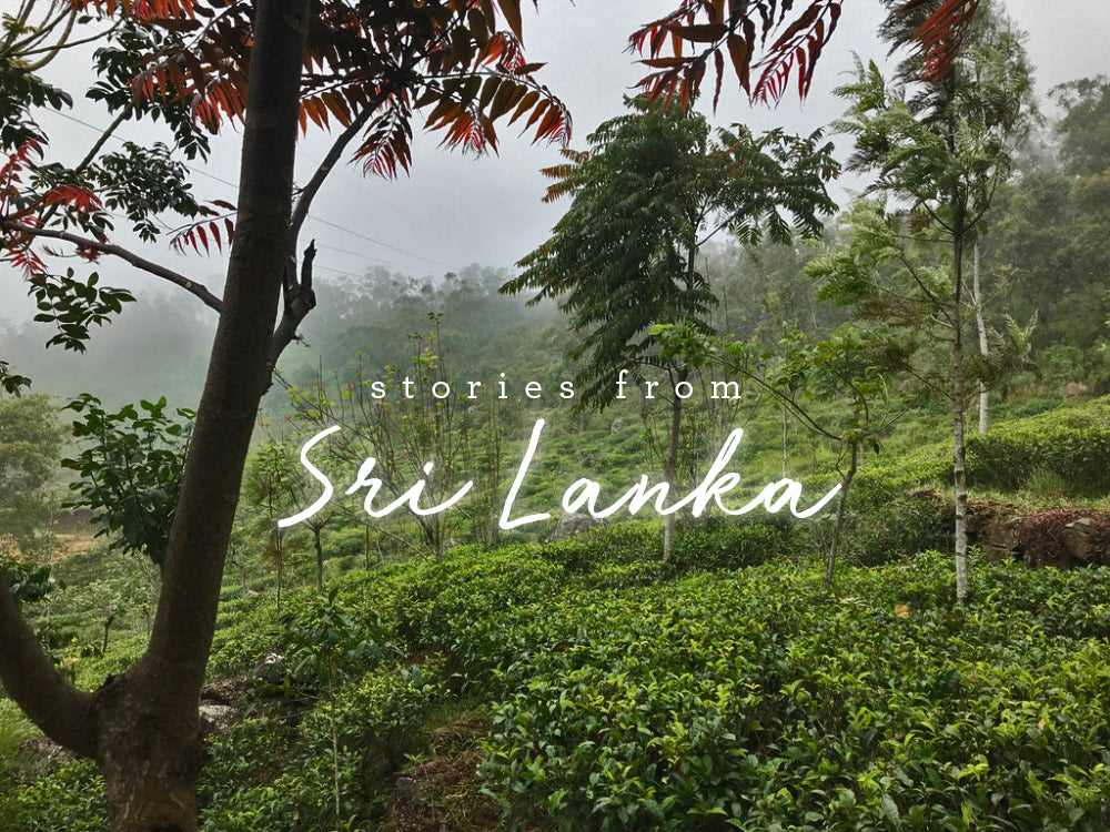 Tea Garden with the words "Stories from Sri Lanka"