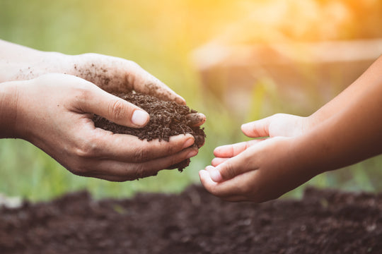 Adult and Child's hands holding soil