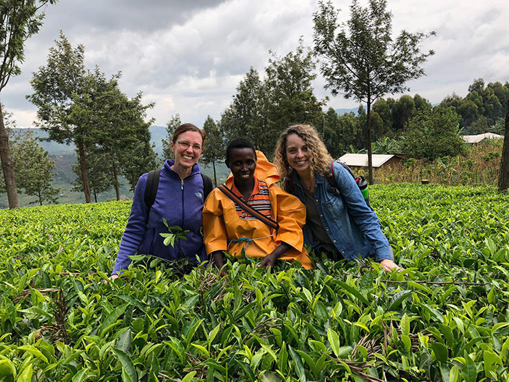 Field Notes from Rwanda: Arbor Teas Visits the Land of 1,000 Hills