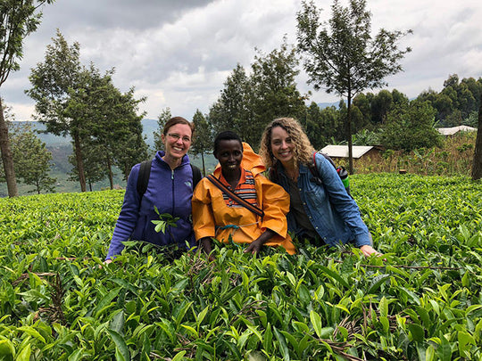 Field Notes from Rwanda: Arbor Teas Visits the Land of 1,000 Hills