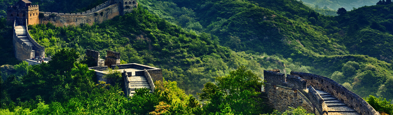 Organic Chinese Tea