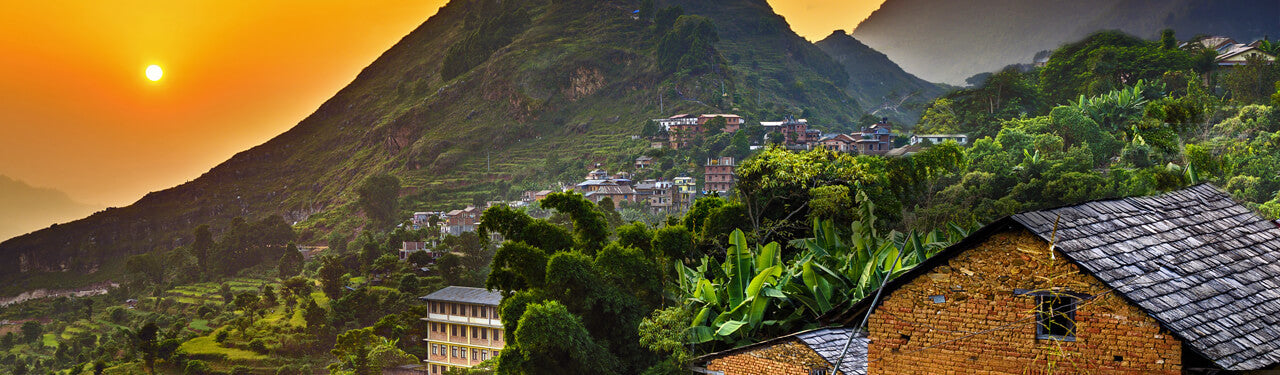 Organic Nepali Tea