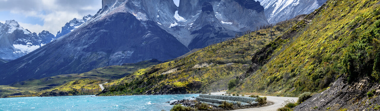 Organic South American Tea