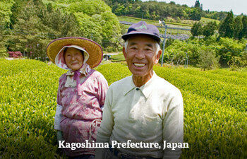 Two people standing in a tea field in the Kagoshima Prefecture, Japan