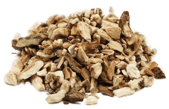 organic-burdock-root