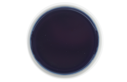 Organic Butterfly Pea Lemongrass Brew