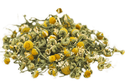 organic-chamomile-USA