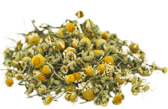 organic-chamomile-USA