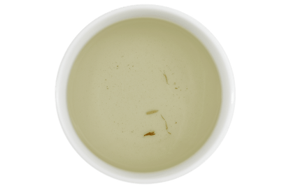 organic-echinacea-root-brew