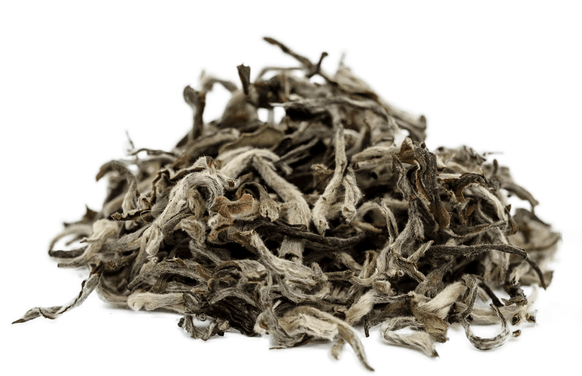 Organic Nepal White Tea