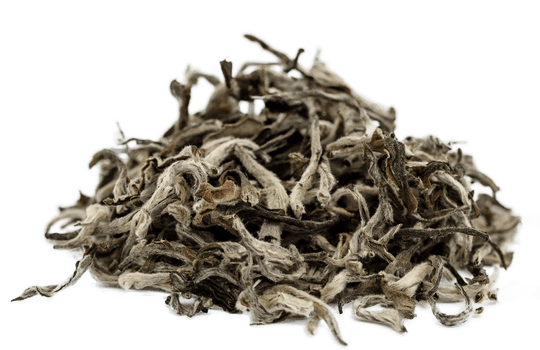 Organic Nepal White Tea