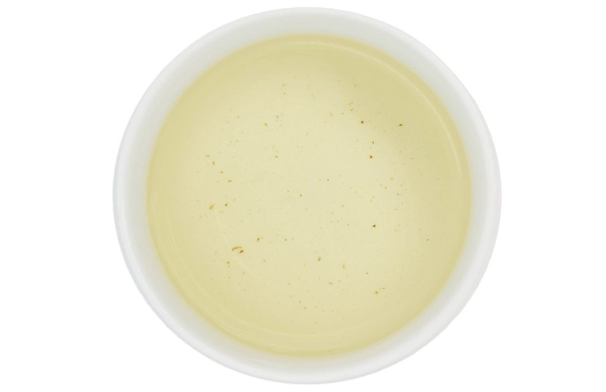 organic-portugal-green-brew