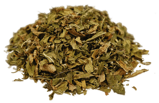 organic-spearmint