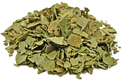 organic-yaupon