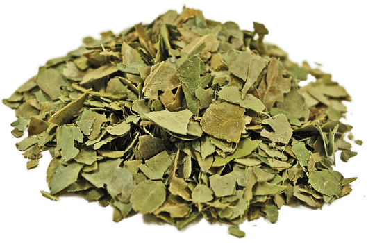 organic-yaupon